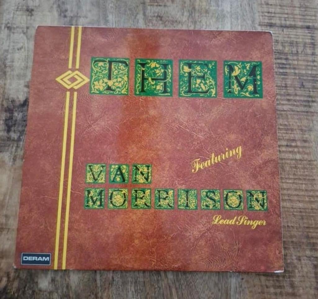 Dubbel lp them featuring van morrisen lead singer, Ophalen of Verzenden