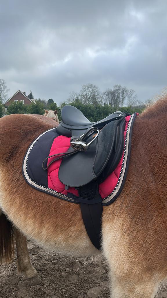 Wintec veelzijdigheidszadel 17,5 inch, Ophalen, Zo goed als nieuw, Recreatie