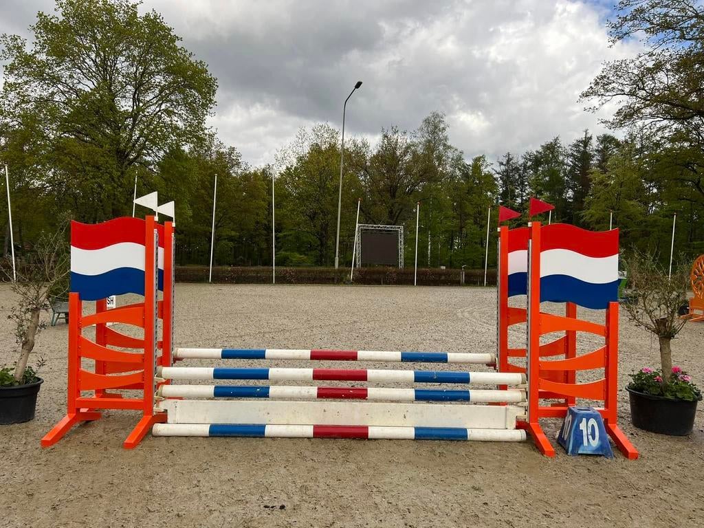 bijrijd pony aangeboden, 1 paard of pony