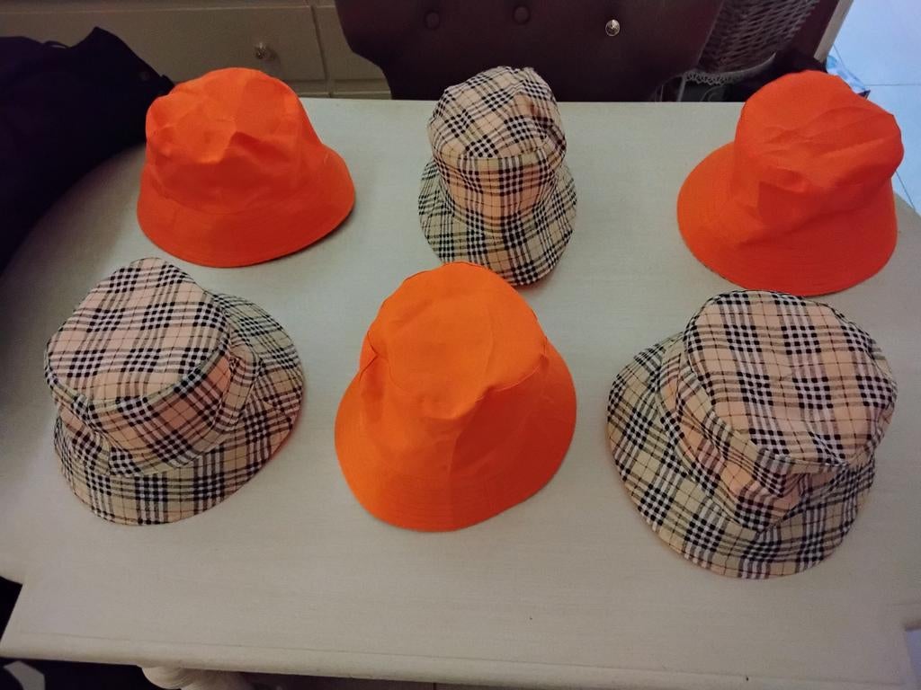 Leuke hoedjes, Ophalen, Nieuw, One size fits all