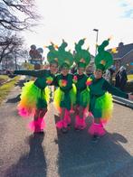 Carnavalskleding loopgroep cactus, Ophalen of Verzenden