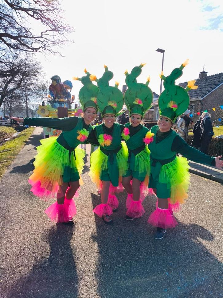 Carnavalskleding loopgroep cactus, Kleding | Dames, Carnavalskleding en Feestkleding, Ophalen of Verzenden