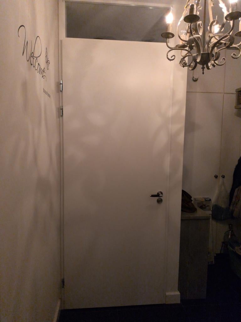 Stalen kozijn met deur - Modern en duurzaam, Doe-het-zelf en Verbouw, Deuren en Horren, Ophalen, 80 tot 100 cm, 215 cm of meer