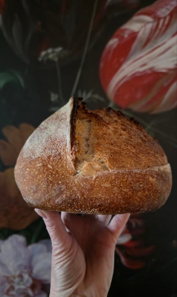 Actieve Sourdough Starter – Vers & Gedroogd, Hobby en Vrije tijd, Ophalen of Verzenden, Nieuw