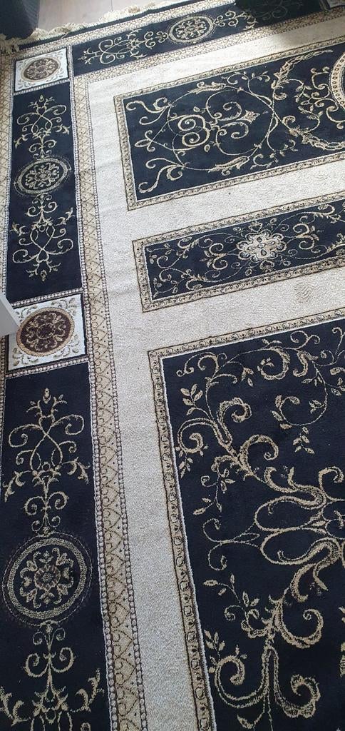 vloerkleed brede 250 lang 380, Huis en Inrichting, Stoffering | Tapijten en Kleden, Ophalen, Beige, Klassiek, 200 cm of meer