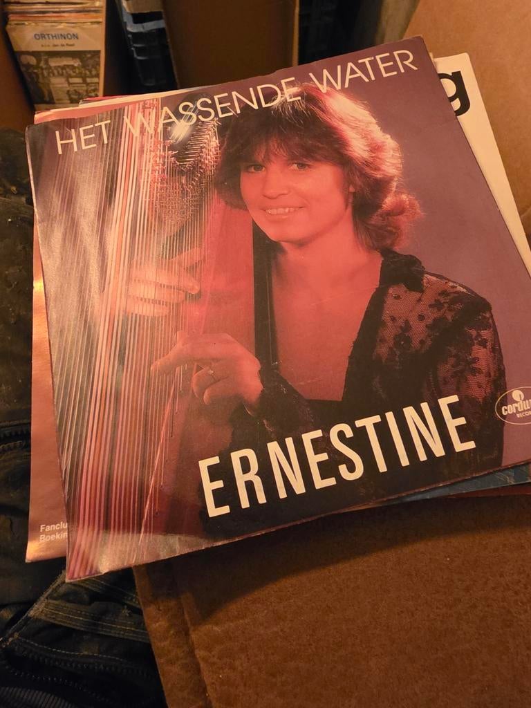 Ernestine - Het Wassende Water singel (Vinyl), Ophalen of Verzenden, Gebruikt, 7 inch, Levenslied of Smartlap
