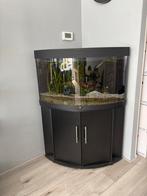 Jewel Trigon LED hoekaquarium, Dieren en Toebehoren, Ophalen