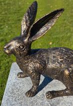 HAAS / bronzen tuinbeeld / brons, Dierenbeeld, Nieuw, Info@huisentuindecoratiemarie.nl, Huis en tuin decoratie marie