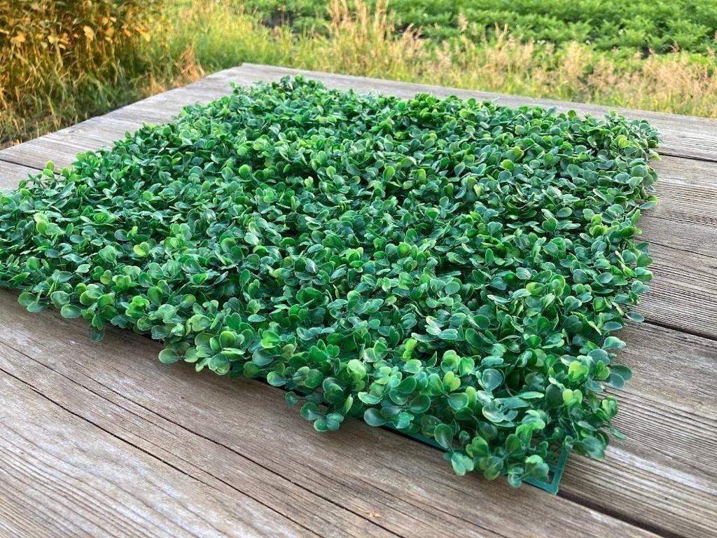 Nieuw: 30 st. | Kunstplanten | Buxus | 25x25cm | Panelen, Geschikt voor buiten, Groen, Kunstplant, Nieuw