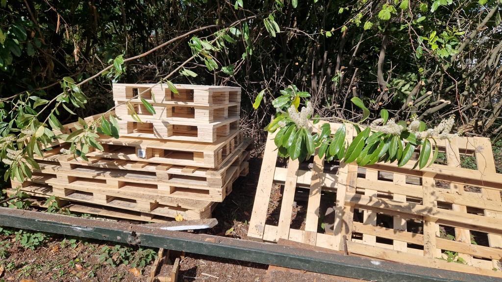 Pallets gratis af te halen, verschillende maten, Doe-het-zelf en Verbouw, Hout en Planken, Ophalen, Gebruikt, Overige houtsoorten