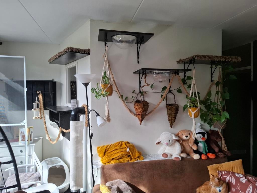 Kattenwand, Dieren en Toebehoren, Katten-accessoires, Ophalen