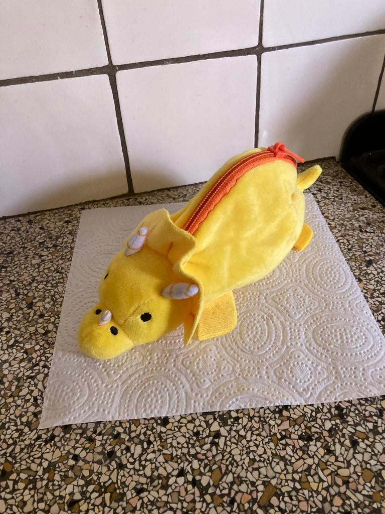 Leuke etui, Ophalen of Verzenden, Zo goed als nieuw