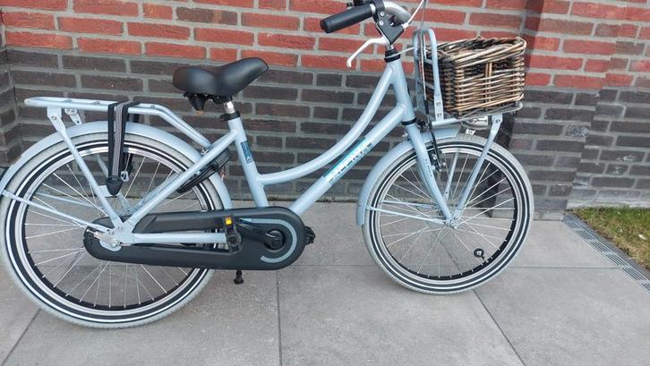 Alphina cargo 20 inch meisjes fiets, Fietsen en Brommers, Fietsen | Meisjes, Zo goed als nieuw, 20 inch, Ophalen