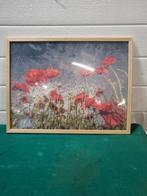 schilderij daimond painting klaprozen, Huis en Inrichting, Woonaccessoires | Schilderijen, Tekeningen en Foto's, Ophalen of Verzenden