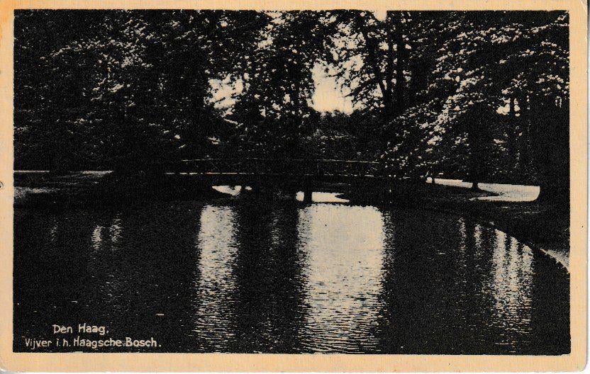 DEN HAAG - HAAGSCHE BOSCH / VIJVER, Verzamelen, Ophalen of Verzenden, 1940 tot 1960, Ongelopen, Zuid-Holland
