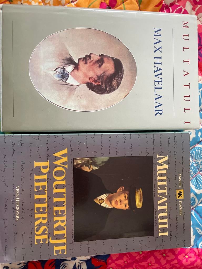 Multatuli - Max Havelaar en Woutertje Pieterse, Boeken, Literatuur, Ophalen of Verzenden, Gelezen, Nederland
