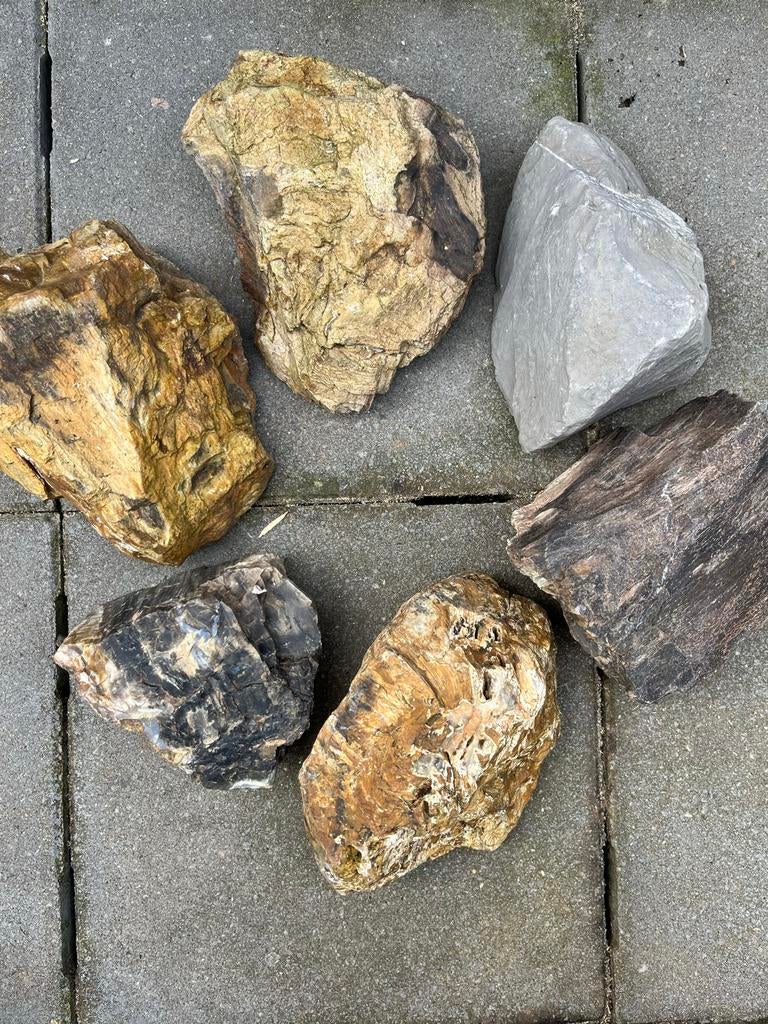 Stenen aquarium, Dieren en Toebehoren, Vissen | Aquaria en Toebehoren, Ophalen, Plant(en), Steen of Hout