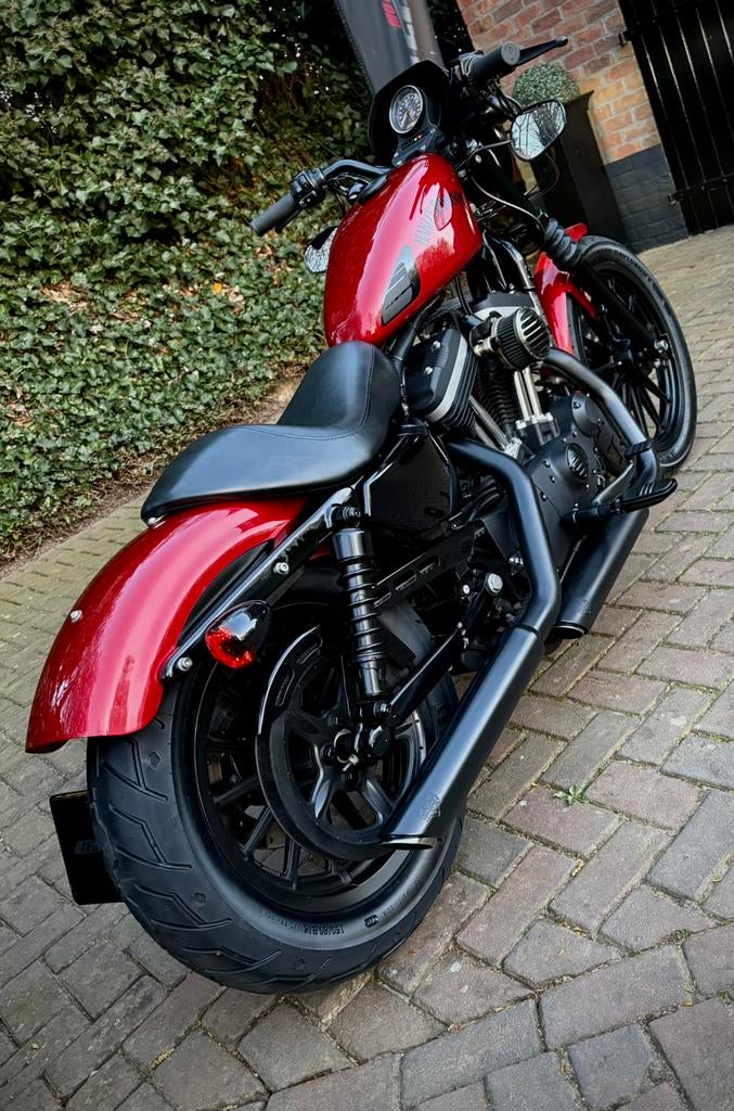 Zeer mooie Harley Davidson SPORTSTER 883 IRON Ember Red, Motoren, Bedrijf, Overig