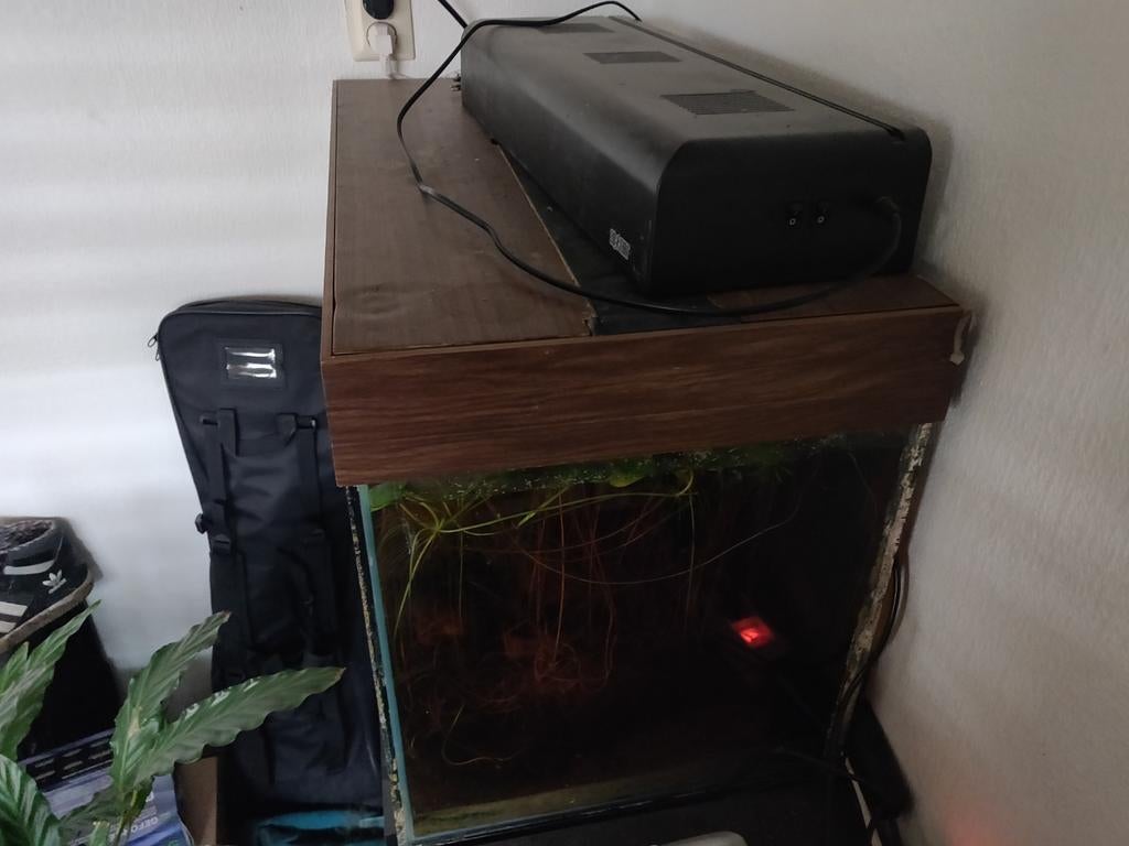 Aquarium, Dieren en Toebehoren, Ophalen, Leeg aquarium