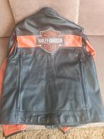 Harley Davidsin lederen jas  xxl  Harley-Davidson dames s, Motoren, Kleding | Motorkleding, Ophalen of Verzenden, Tweedehands