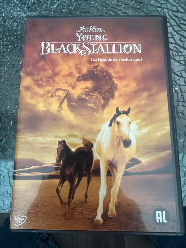 Young Blackstallion (dvd), Alle leeftijden, Ophalen of Verzenden, Zo goed als nieuw