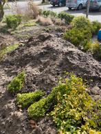 Tuinaarde zwarte grond gratis op te halen, Tuin en Terras, Ophalen, Tuinaarde