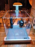 Superfish Qubie 10 zgan!, Ophalen, Verwarming, Zo goed als nieuw, Leeg aquarium
