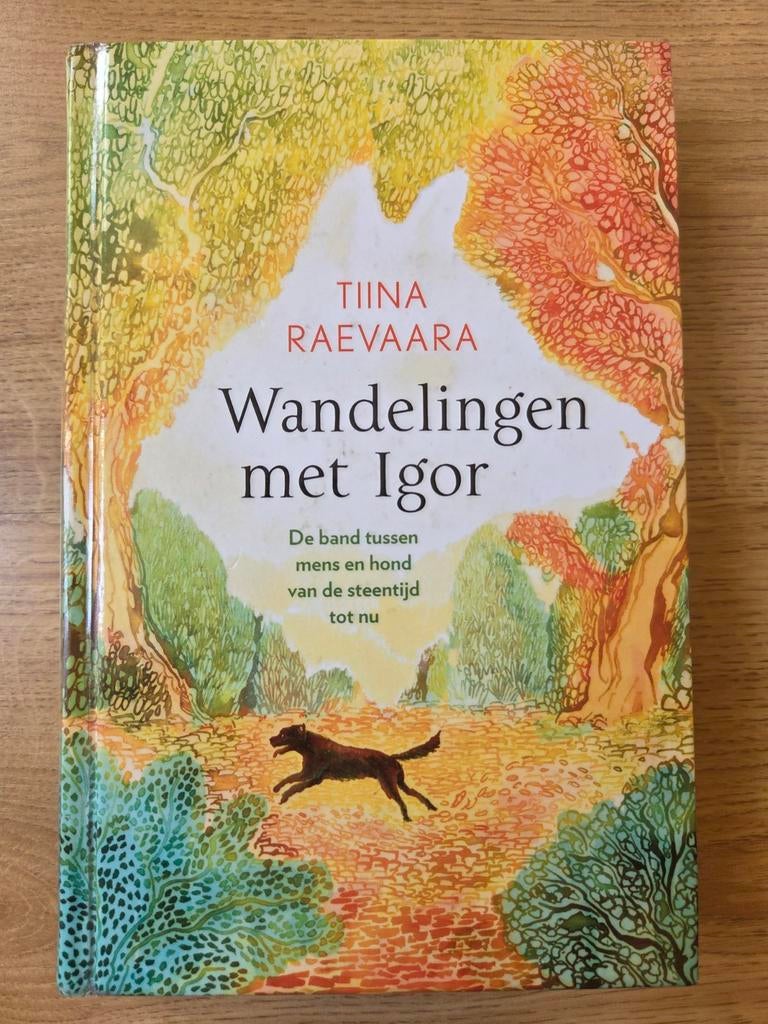 Tiina Raevaara - Wandelingen met Igor, Ophalen of Verzenden, Gelezen, Tiina Raevaara