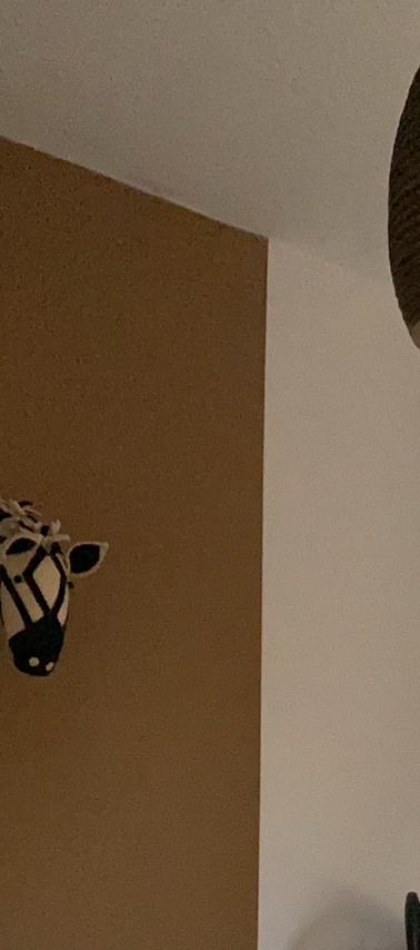 Zgan: vilten Zebra dierenkop kidsdepot, Ophalen of Verzenden, Zo goed als nieuw, Jongetje of Meisje