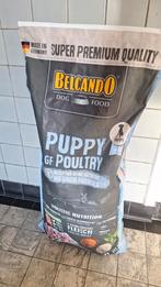 Belcando Puppy GF Poultry 12 kilo, Dieren en Toebehoren, Dierenvoeding, Ophalen, Hond
