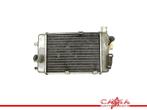 RADIATEUR Aprilia RSV 1000 (R) Mille 1998-2003 (RSV1000), Gebruikt