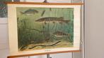 Originele oude schoolkaart Zoetwatervissen met boekje, Ophalen of Verzenden, Aardrijkskunde