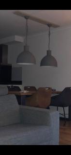 Set van 2 Industriële Hanglampen - Stoer en Stijlvol, Ophalen, Zo goed als nieuw, Metaal, Minder dan 50 cm