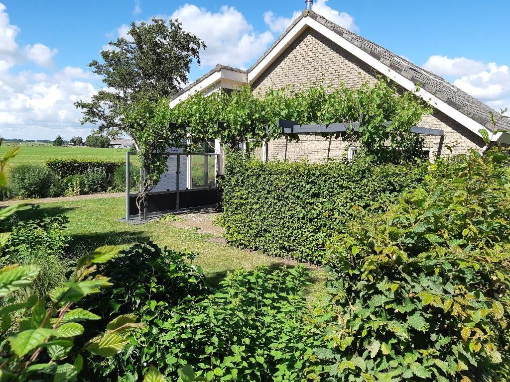 terrasscherm windscherm, Tuin en Terras, Ophalen, Gebruikt, 200 cm of meer, 150 tot 200 cm