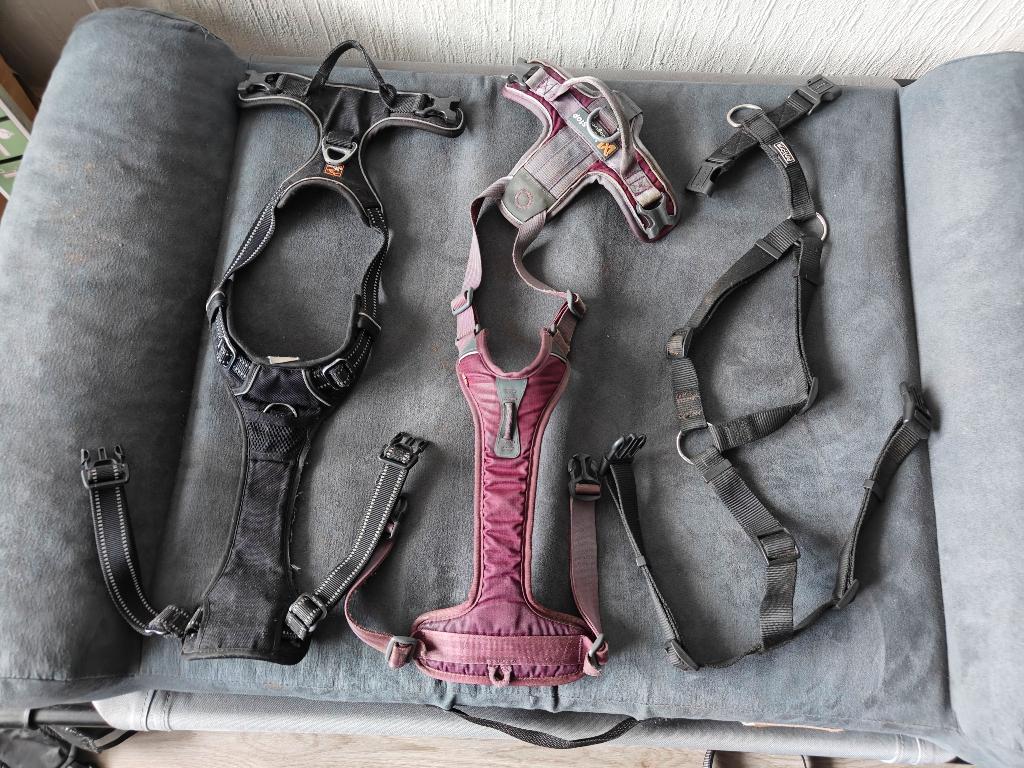 Tuig maat M, Ophalen of Verzenden, Gebruikt