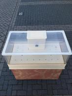 Homarium Kreeftenbak met koeling, Ophalen of Verzenden