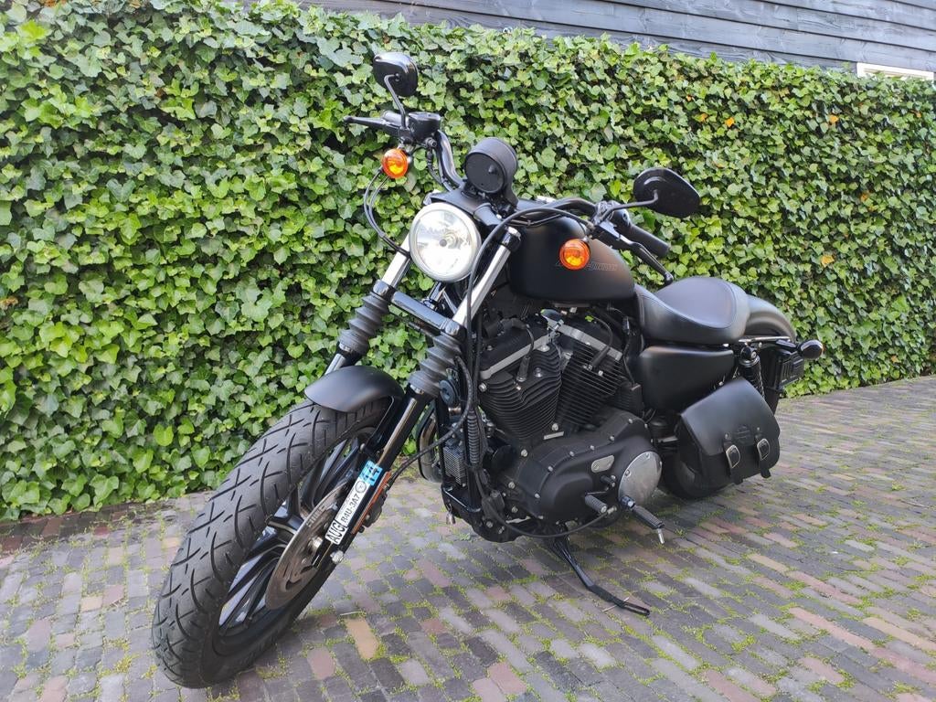 Harley-Davidson Sportster Iron 883 - Mat Zwart, 2 cilinders, Gebruikt, 883 cc, Particulier
