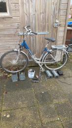 Giant Twist, Ophalen of Verzenden