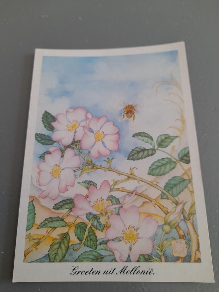 Reclame ansichtkaart Mellonie honing, Ophalen of Verzenden