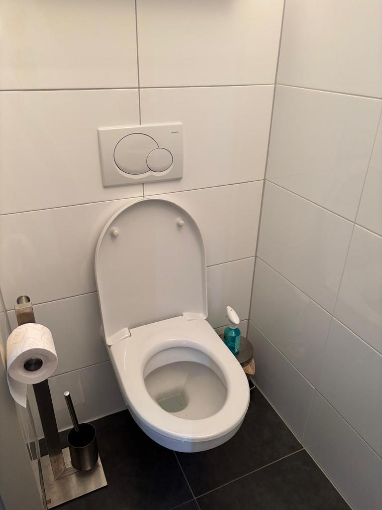 Fonteintje en toiletpot wit merk sphinx, Ophalen, Gebruikt, Toilet