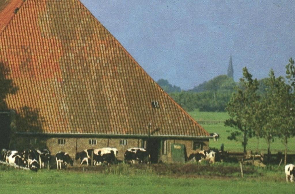 993272 Friesland Boerderij Postzegel afgeweekt, Ophalen of Verzenden, 1960 tot 1980, Gelopen, Friesland