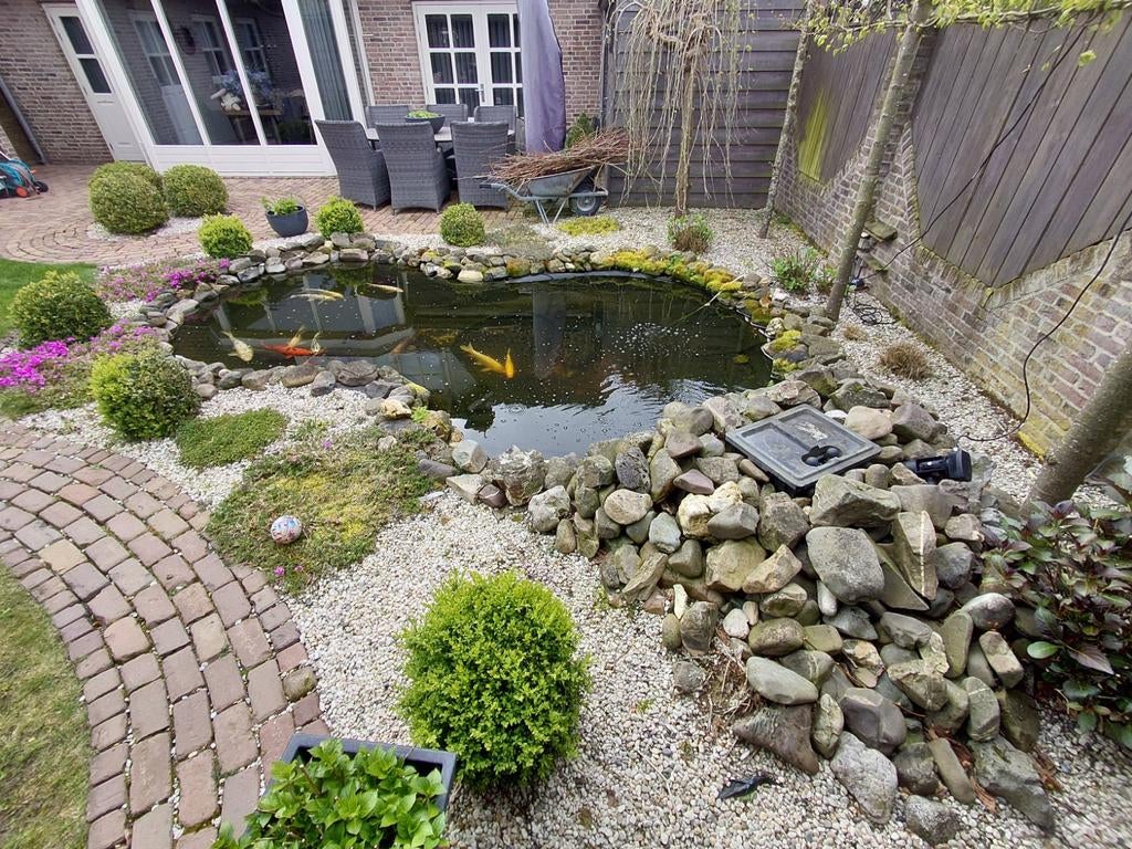 Koi karpers met toebehoren, Tuin en Terras, Vijvers, Ophalen