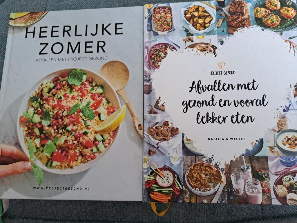 Project gezond, Boeken, Verzenden, Zo goed als nieuw
