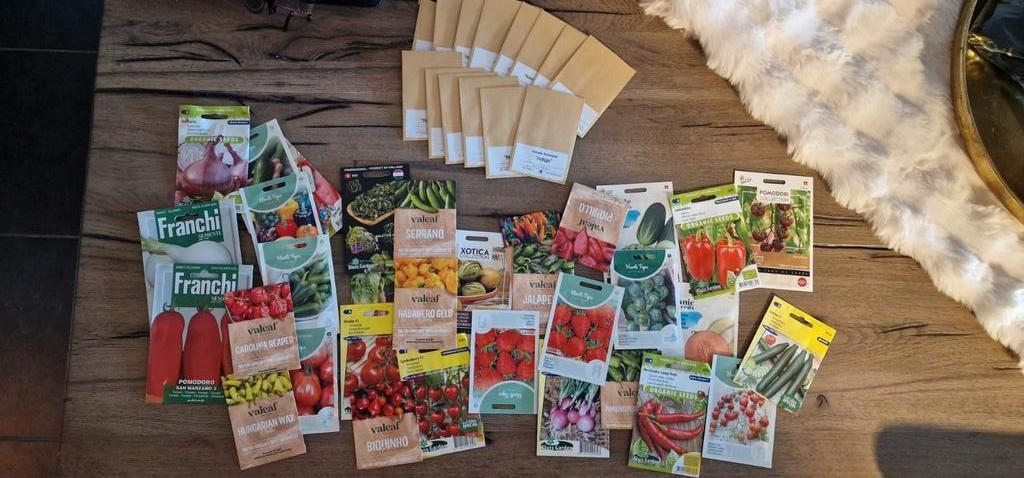 moestuin zaden 50+ zakjes, Verzenden, Volle zon, Zaad