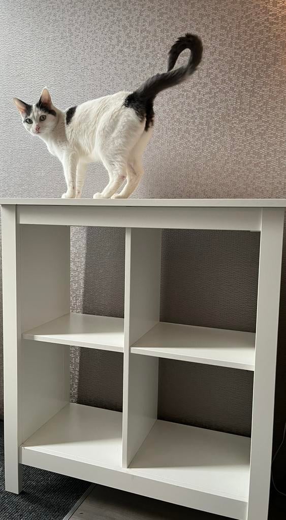 Ikea Kallax achtig kastje 4 vaks ZGAN, Huis en Inrichting, Kasten | Wandmeubels, Ophalen, 100 tot 150 cm, Zo goed als nieuw, Minder dan 150 cm