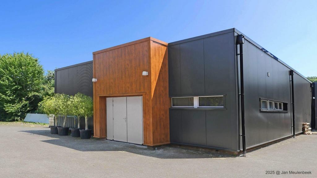 Olijfboom in pot, Tuin en Terras, Planten | Tuinplanten, Vaste plant, Fruitplanten, Volle zon, Bloeit niet, Ophalen of Verzenden