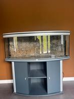 Aquarium groot, Ophalen, Zo goed als nieuw, Gevuld zoetwateraquarium