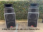 UNIEK! 3-Weg Systeem AA Craaft en JBL obv Peavey SP-4, Ophalen, JBL, Zo goed als nieuw, 120 watt of meer