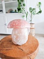 Nieuw! zousteen lamp paddenstoel paddestoel roze oranje, Ophalen of Verzenden, Nieuw, Minder dan 50 cm