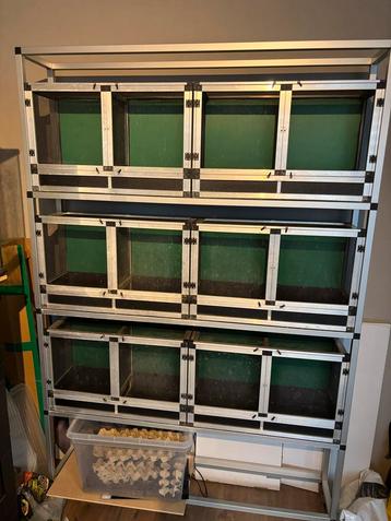 Terrarium stelling beschikbaar voor biedingen